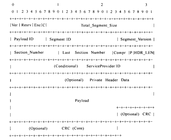  SD&S组播传输协议语法